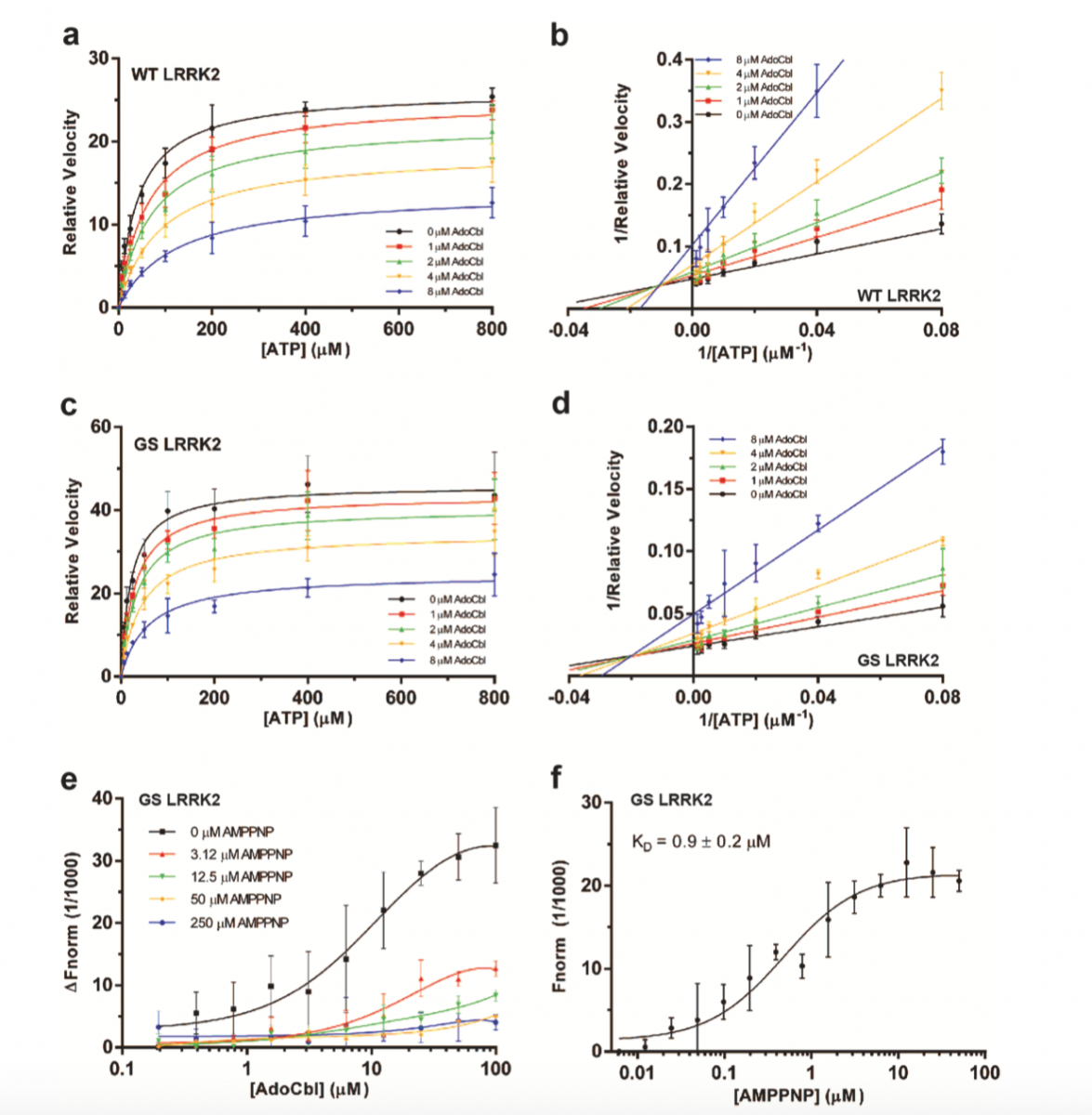 LRRK2 Protein Domain Structure Display and Pathogenic Site Distribution