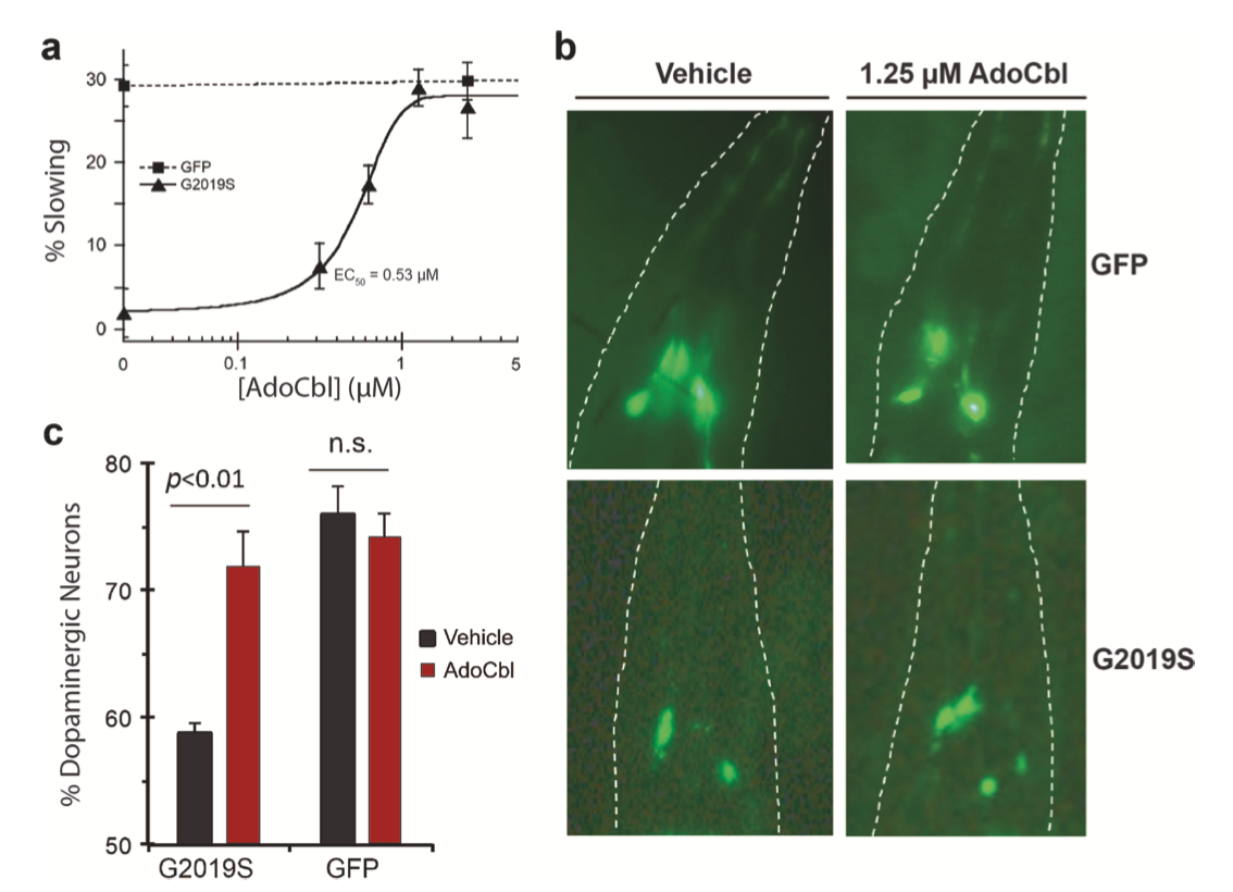 AdoCbl Showing Mixed-type Inhibition