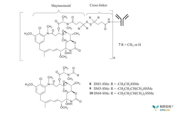 二硫键连接的美登素ADC