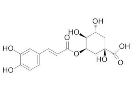绿原酸是一种抗氧化药物
