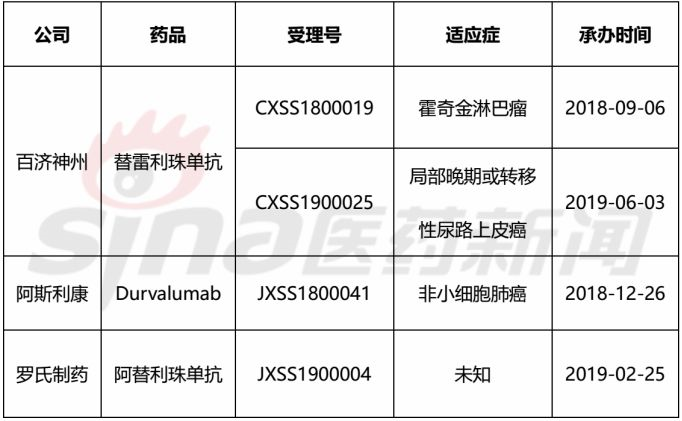 表4 中国正在审批阶段PD-(L)1单抗 