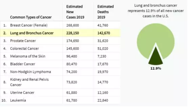 2019年癌症新增病例数与死亡人数预测