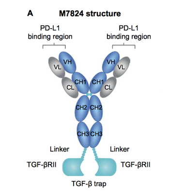 M7824结构图