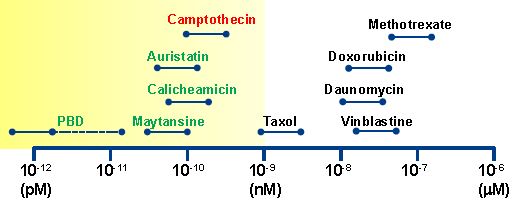 图6. 细胞毒 药物有效负载的效力（IC50, M）