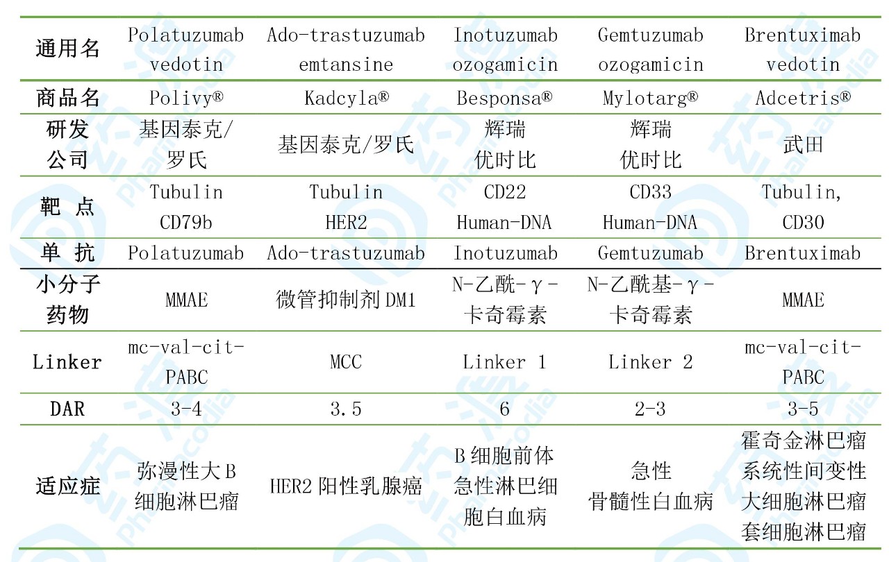 表2. 已上市ADC一覽