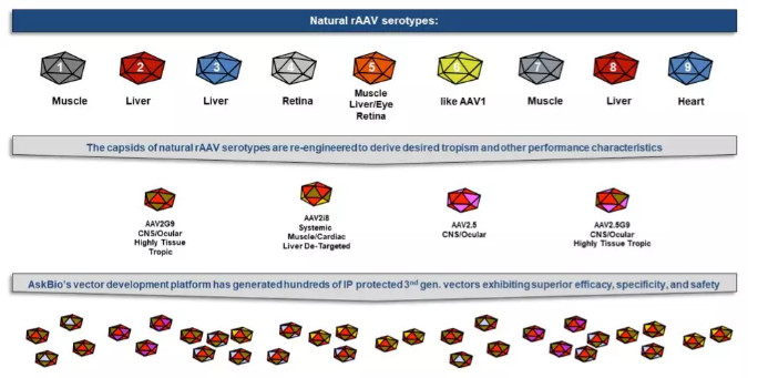 ▲AskBio生成不同AAV病毒衣壳蛋白的技术平台（图片来源：AskBio公司官网）