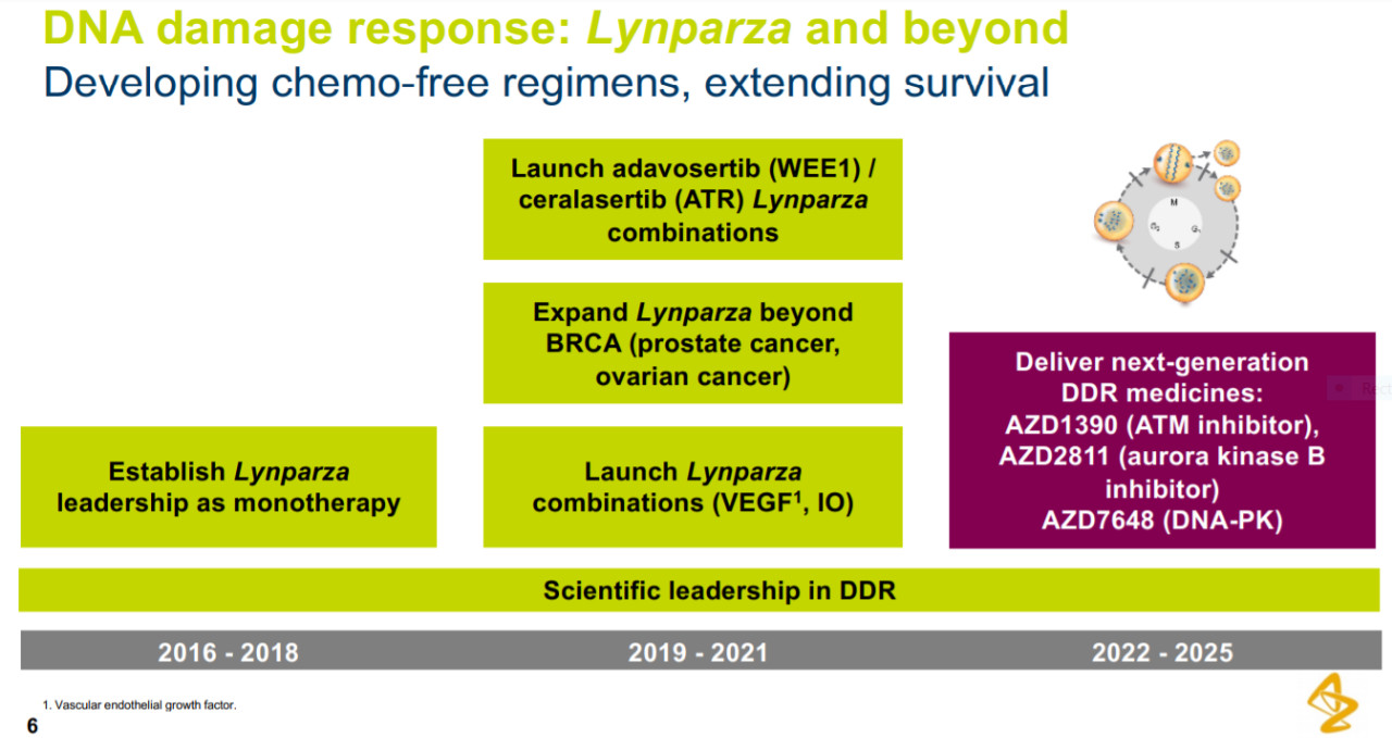 ▲阿斯利康计划开发以Lynparza领衔的一系列靶向DNA损伤反应通路的创新疗法（图片来源：参考资料[4]）
