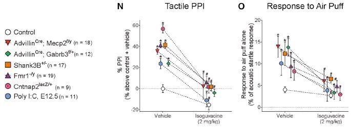 ▲在六种不同分子机制的ASD模型小鼠中，isoguvacine都起到了缓解触碰过度反应的效果（图片来源：参考资料[1]）