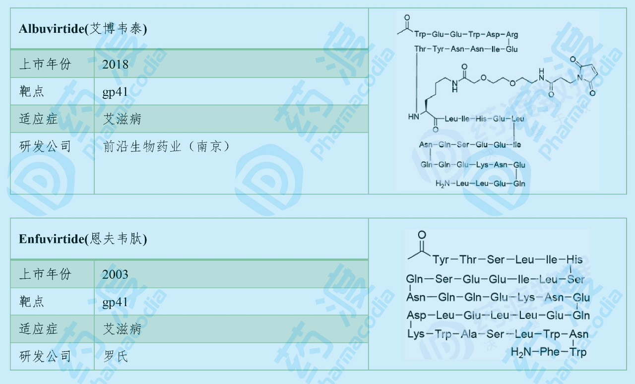 跨膜糖蛋白(Gp41)