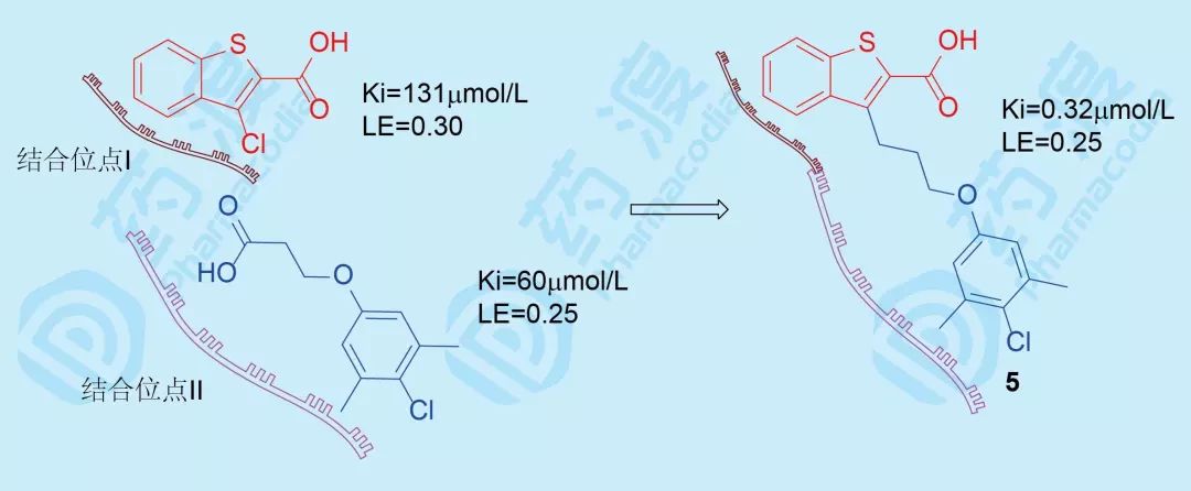 Mcl-1抑制剂的研发