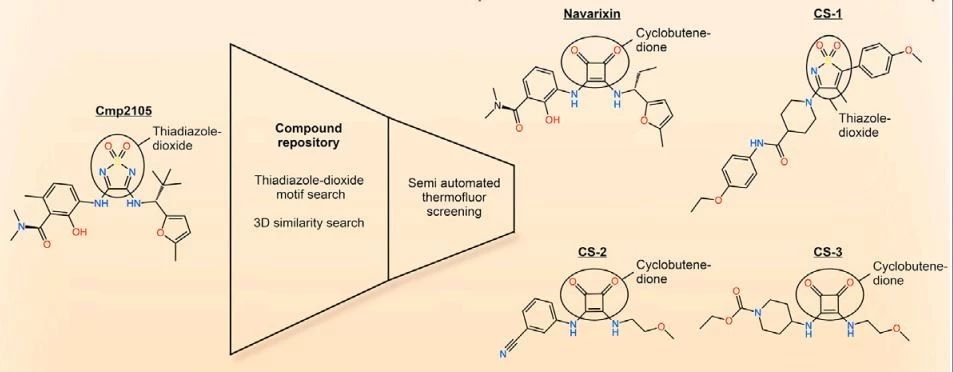 ▲与CCR7变构口袋特异性结合的5种小分子配体（图片来源：参考资料[1]）