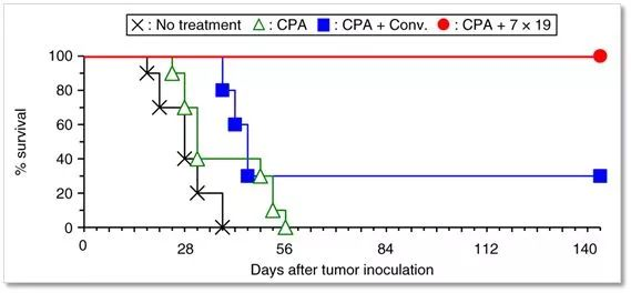 ▲对于小鼠肥大细胞癌，在共表达IL7和CCL19的CAR-T疗法组，的小鼠都能够存活（红色线）。而常规CAR-T疗法组，存活率只有30%左右（蓝色线）（图片来源：参考资料[2]）