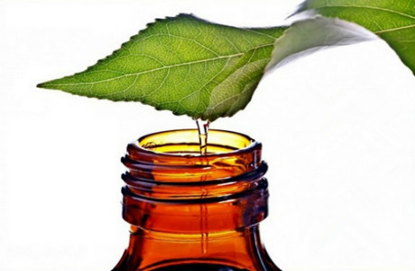 茶树油与茶籽油的区别