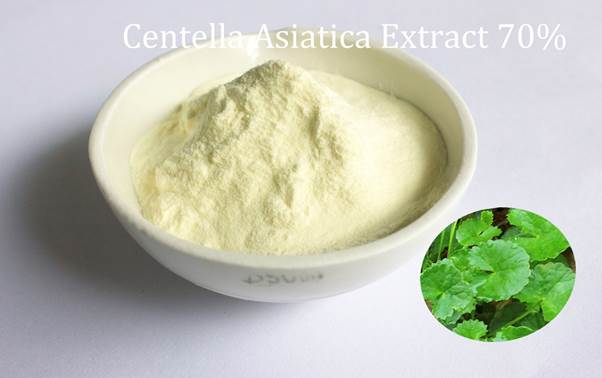 Centella Asiatica extract 70%
