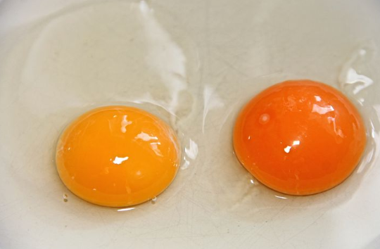 蛋黄卵磷脂