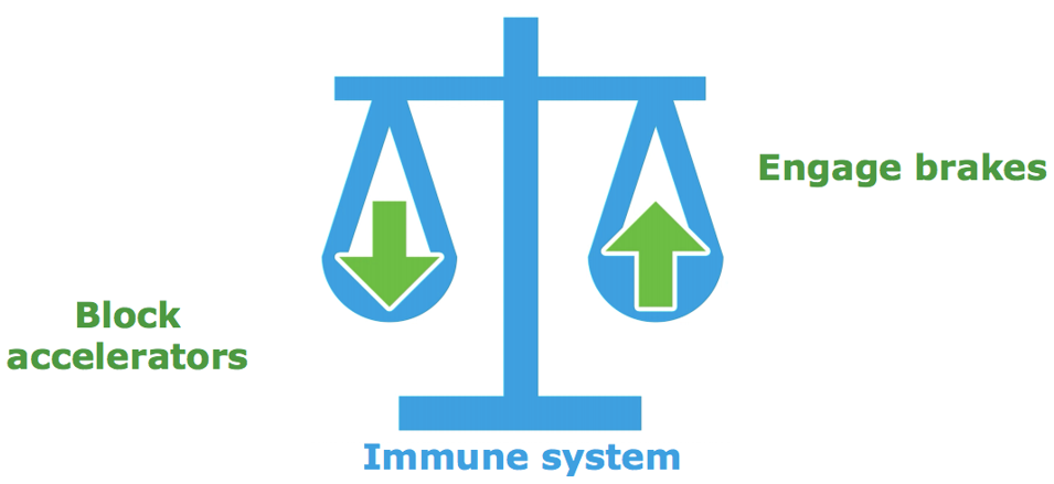 自身免疫疾病治疗的本质便是重建免疫平衡状态