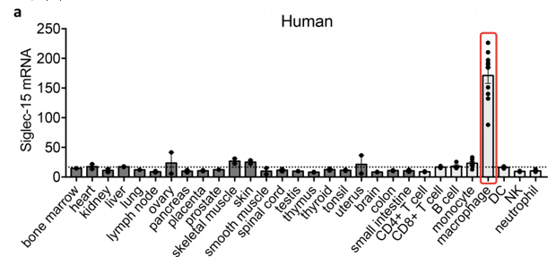 Siglec-15的Mrna在人体各正常组织的表达情况