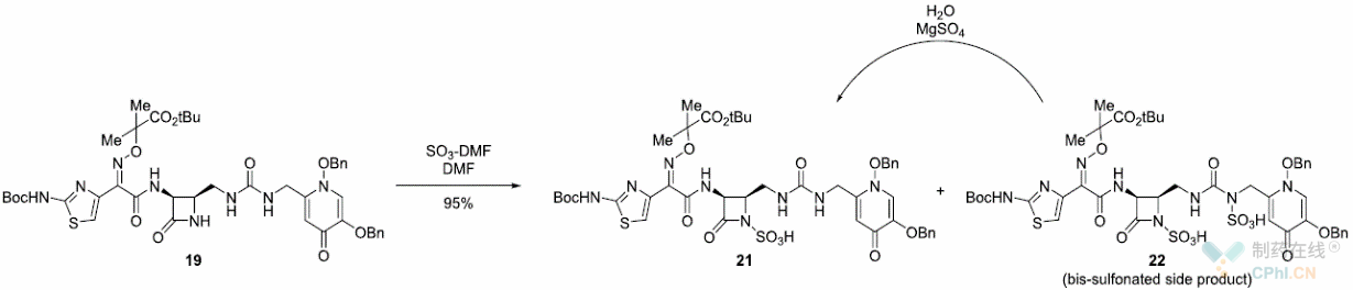 N-磺酸基团的引入