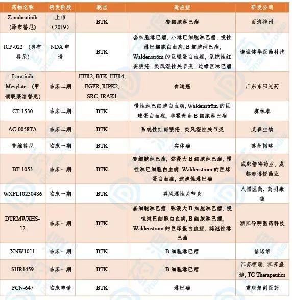 表3. 靶向BTK的中国1类同靶点药物一览