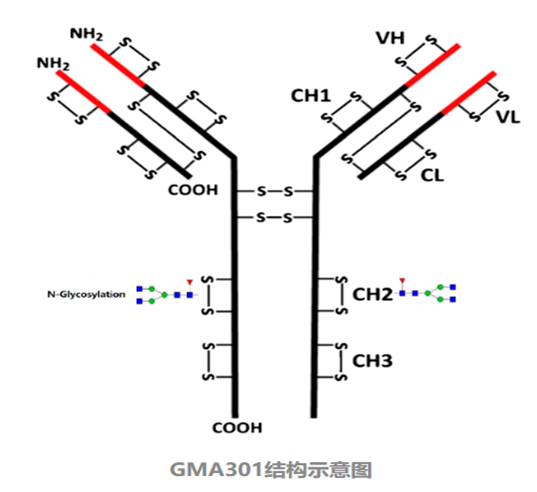 GMA301结构示意图