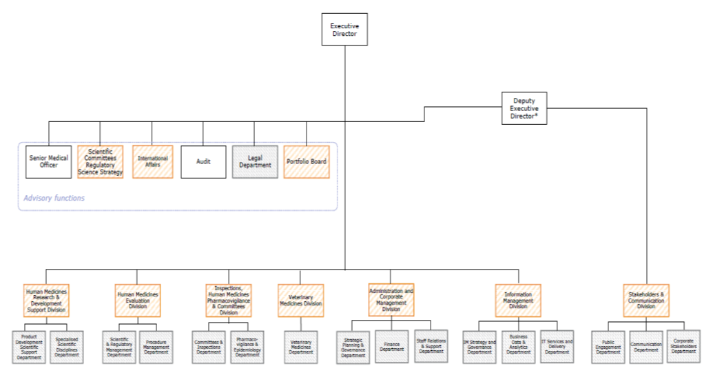 EMA内部结构图