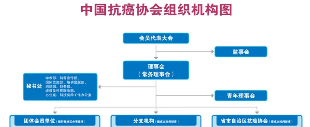 中国抗癌协会组织机构图