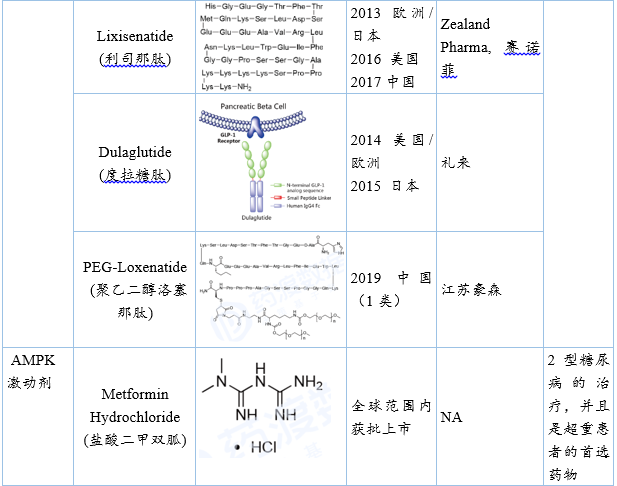 指南推薦糖尿病合并肥胖治療藥物