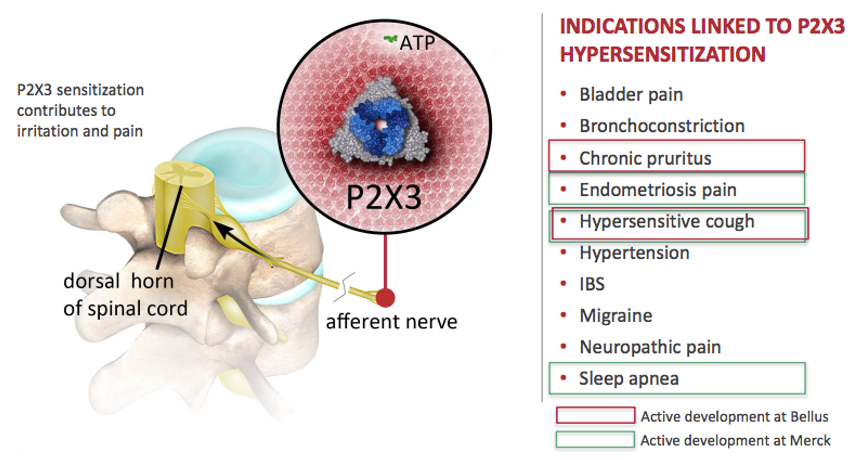 P2X3相关适应症