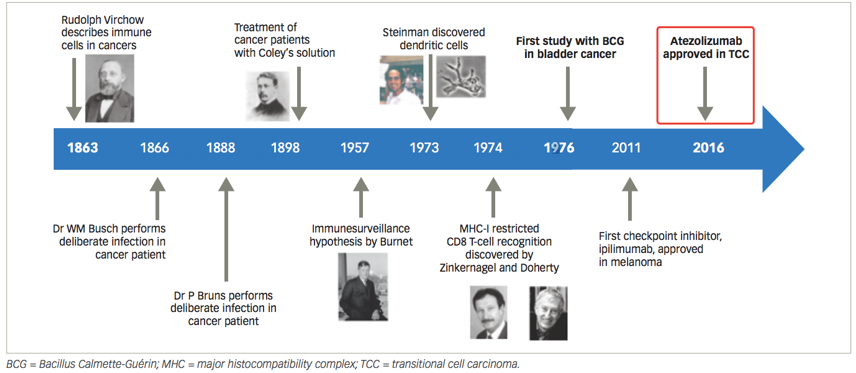膀胱癌免疫疗法的发展历程