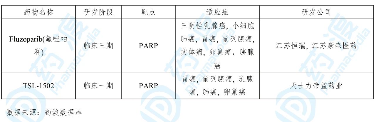 目前靶向PARP的中国1类药物