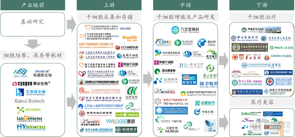 中国干细胞行业产业链图谱