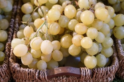 葡萄籽提取物的四大作用主要有哪些