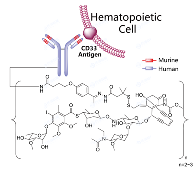 Gemtuzumab Ozogamicin結(jié)構(gòu)式