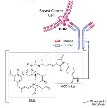 Ado-trastuzumab emtansine結(jié)構(gòu)式