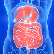 胃肠道间质瘤(GIST)小分子靶向药物研发格局一览