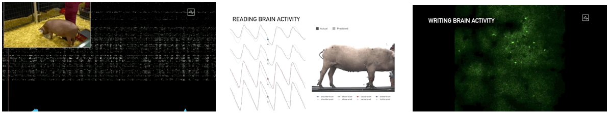Elon Musk创建公司Neuralink发布震撼的脑机接口项目进展