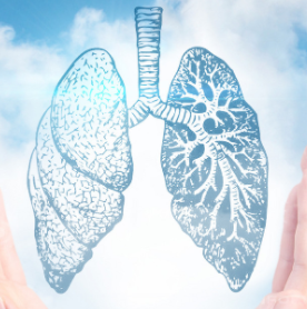 中药及其提取物在肺纤维化治疗中的研究现状