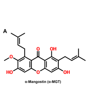 天然药物α-mangostin开发：抗癌效果显著