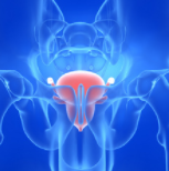 拜耳darolutamide在国内获批 治疗非转移性去势抵抗性前列腺癌