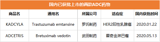 国内已获批上市的两款ADC药物