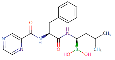 图一 蛋白酶体抑制剂硼替佐米