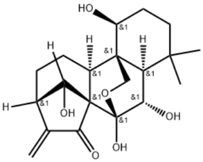 图二 天然FBW7泛素连接酶激动剂——冬凌草甲素