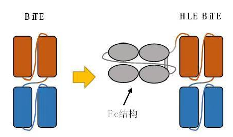 BiTE和HLE BiTE平臺
