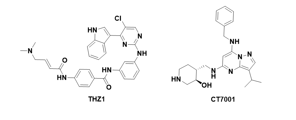 THZ1 & CT7001化学结构