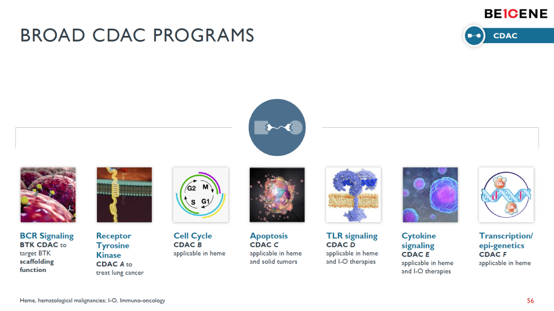 百济神州CDAC技术平台项目布局