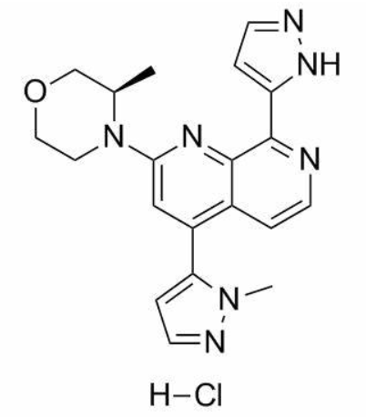 BAY1895344化学结构