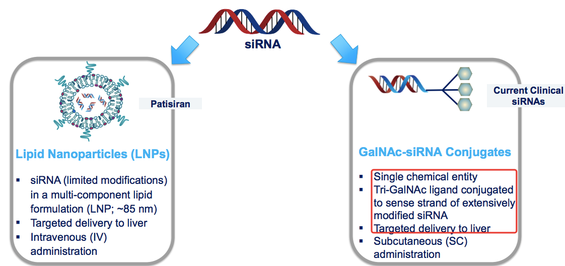 LNP与GalNac-siRNA对比