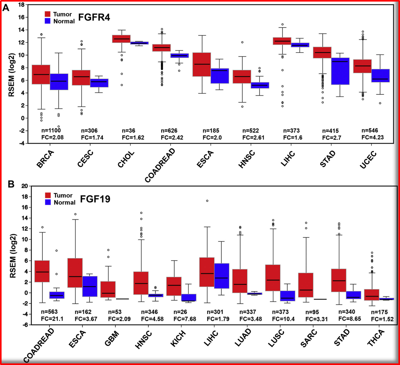 FGFR4和FGF19在不同肿瘤中的过表达状态