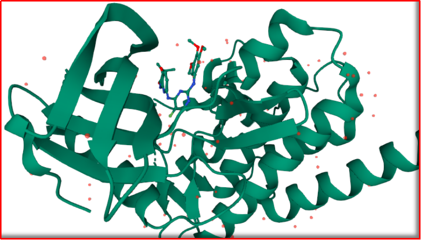 Syk激酶及其小分子抑制剂的结合状态（PDB:3FQS）