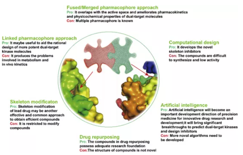 雙靶點激酶藥物設(shè)計方法的優(yōu)缺點